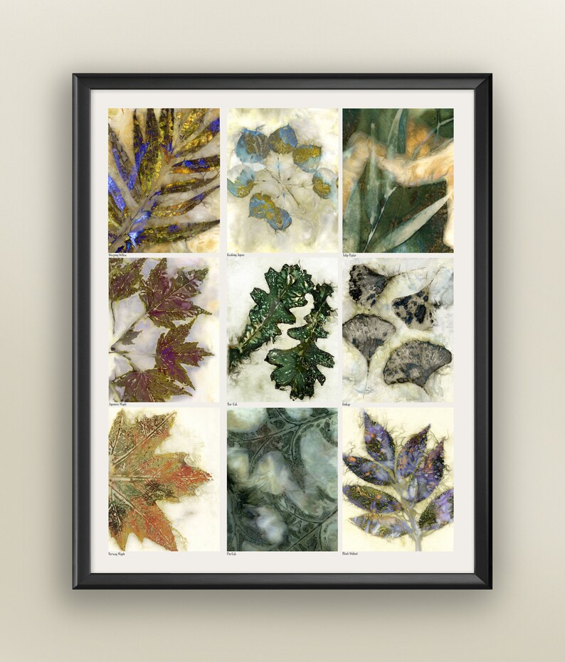 Botanical Print Nine Leaves Eco Print Poster Eco Print 16x20 Print Leaf Poster Leaf Identification