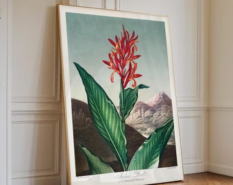 Vintage Marcel Dyf Floral Still Life Print Pink Azaleas Framed - Etsy