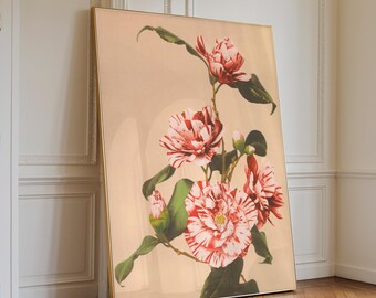 Striped Camellias by Ogawa Kazumasa Print, Floral Art Print, Botanical Japanese Wall Art