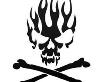 Fire Skull Flame Head Car Or Laptop Decal Vinyl Sticker For Window Bumper Panel 