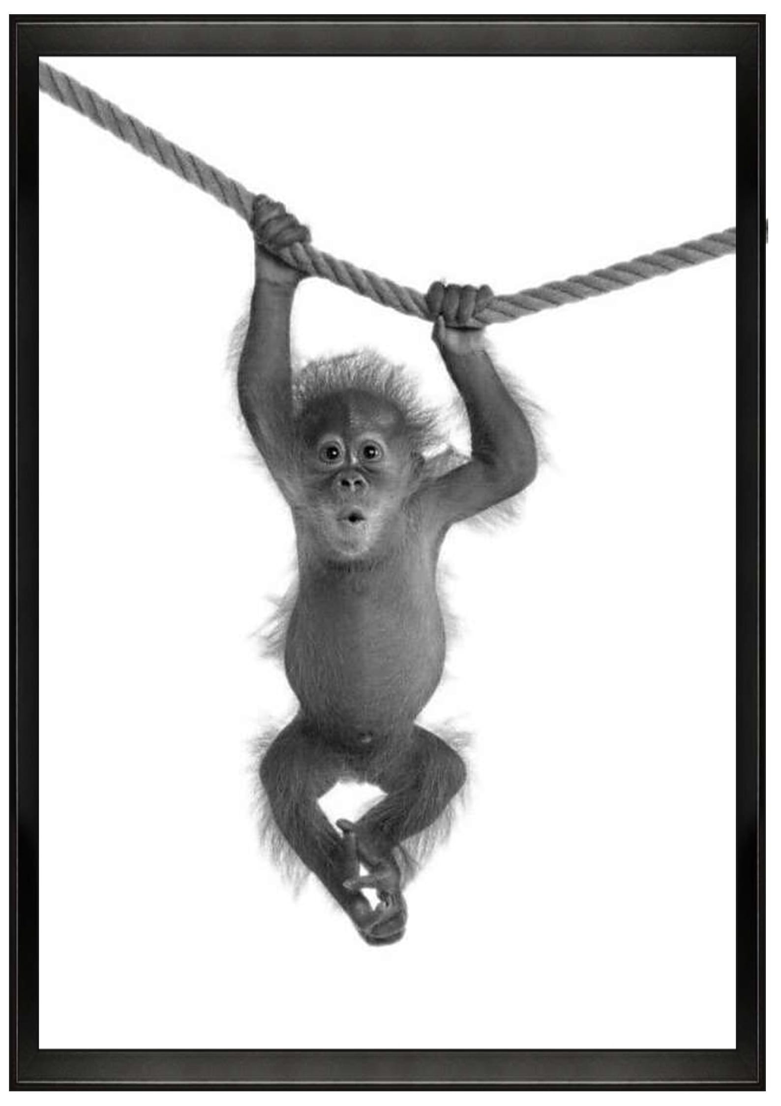 Monkey Cute Animal Print Poster Nursery Home Decor Room Etsy