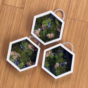 Hexagon Moss Wall Art: Cottagecore Plant Decor, Set of 3