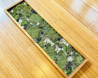 Framed Preserved Moss Wall Art – Custom Reindeer Moss Decor for Home