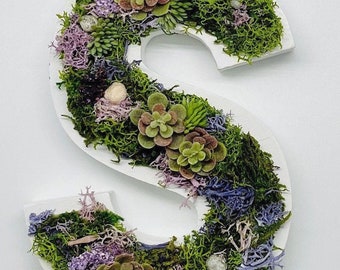 Moss Art Letters, Wood Letters, Succulent Art, Nursery Monogram, Moss Wall Art, Succulent Wall Art, CottageCore Wall Art, FairyCore Decor