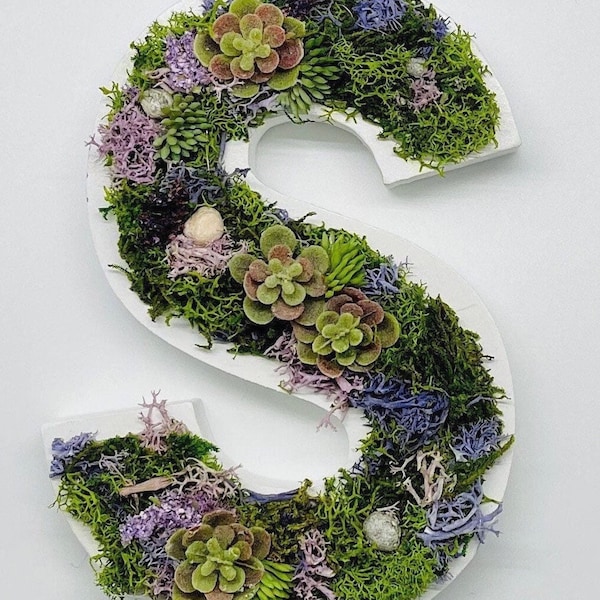 Moss Art Letters, Wood Letters, Succulent Art, Nursery Monogram, Moss Wall Art, Succulent Wall Art, CottageCore Wall Art, FairyCore Decor