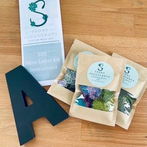 DIY Moss Wall Art Kit – Preserved Moss Craft Project for Home or Family