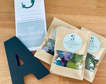 DIY Moss Wall Art Kit – Preserved Moss Craft Project for Home or Family