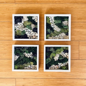 Preserved Moss Wood Frames – Rustic Botanical Wall Art Set of 4 for Home Decor