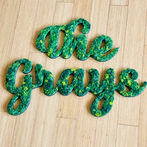Custom Moss Logo Sign – Preserved Moss Letters for Wall, Business, or Home