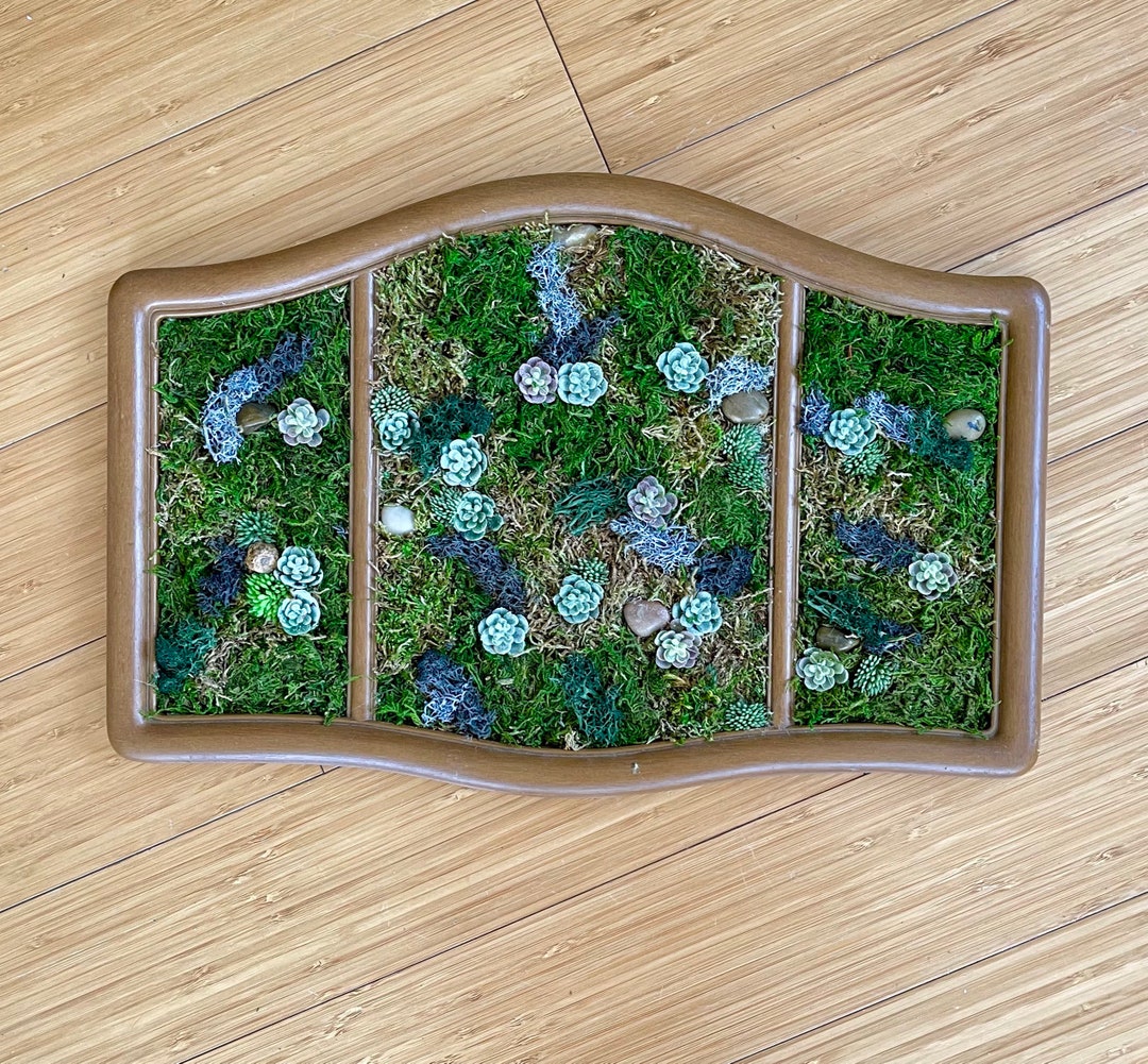 Moss Wall Frame Moss Art Decor Cottagecore Frame Vintage Etsy