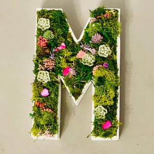 Letras de arte con musgo, papel maché, arte suculento, monograma para guardería, arte mural con musgo, arte mural con suculentas, arte mural CottageCore, decoración FairyCore