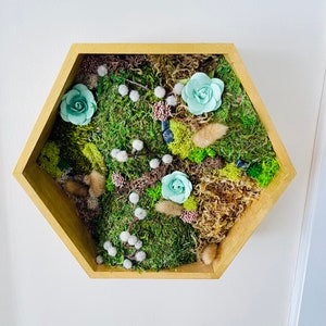 Hexagon Moss Wall Art – Wood Frame with Succulents for Cottagecore or Home Decor