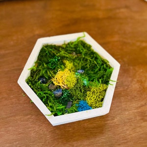 Hexagon Moss Wall Art – Custom Green Wall Collage for Rustic or Cottagecore Decor