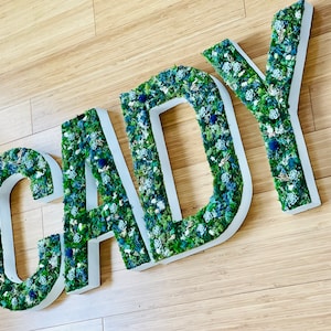 Arte de pared de musgo, letras grandes, letrero de pared de plantas, decoración de vivero, letras suculentas, detalles florales en la pared, letras de pared de musgo, CottageCore, plantas