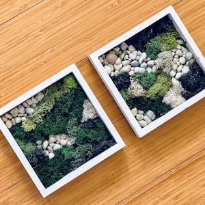 Preserved Moss Wood Frames – Rustic Botanical Wall Art Set of 2 for Home Decor