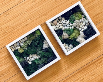 Preserved Moss Wood Frames – Rustic Botanical Wall Art Set of 2 for Home Decor