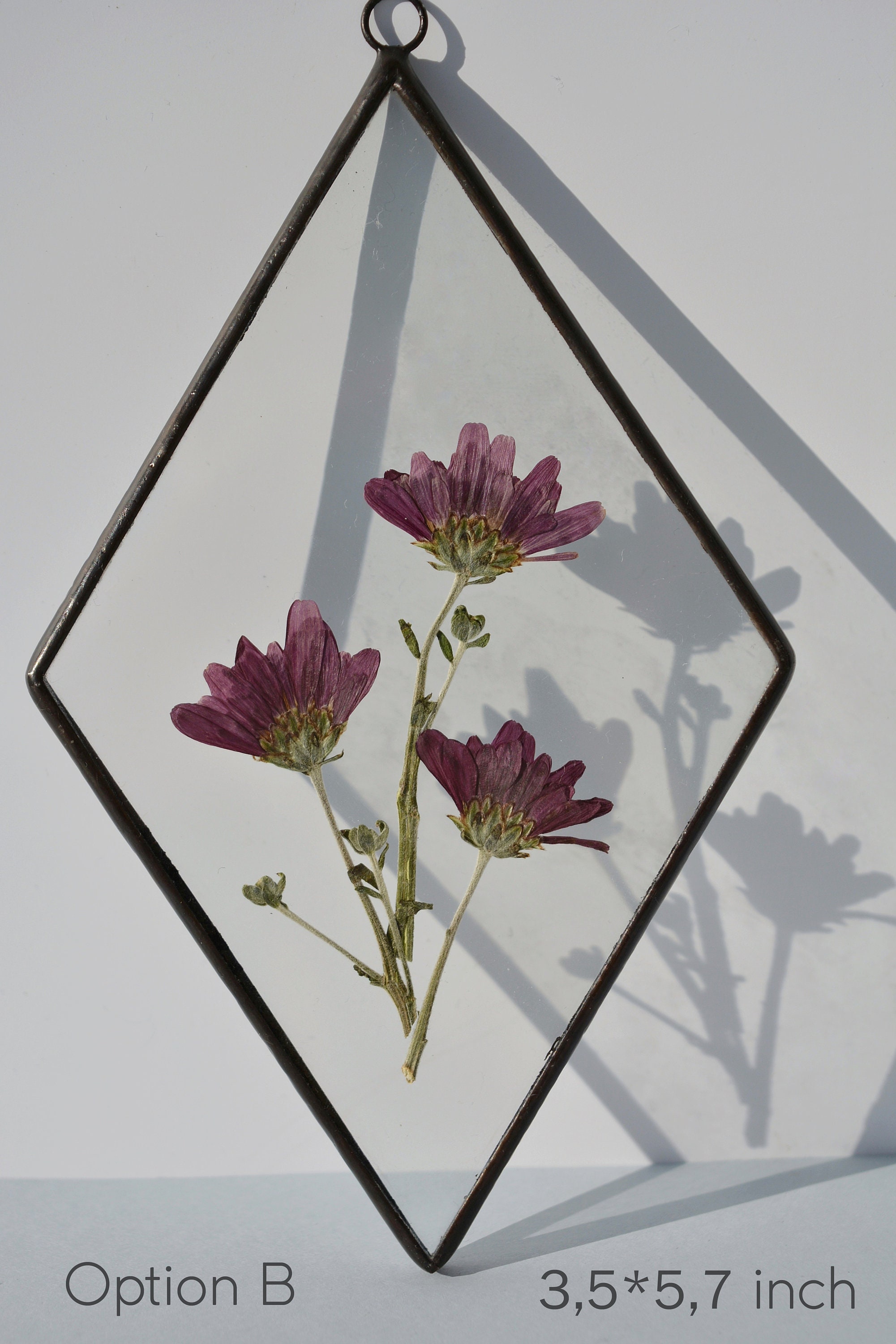 Pressed Flower Frame Hanging Glass Decor Dried Flower Etsy