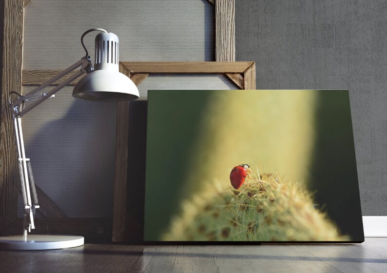 Ladybug Photography Print Nature Photography Flower Macro Print Botanical Print Macro Photography Flower Decor Home Decor