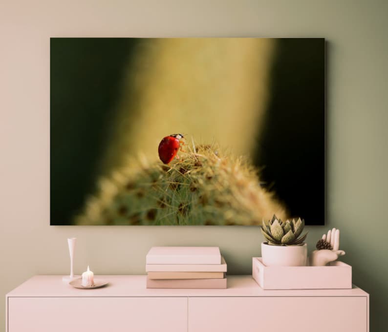 Ladybug Photography Print Nature Photography Flower Macro Print Botanical Print Macro Photography Flower Decor Home Decor