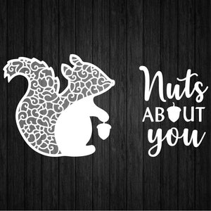 Nuts about you SVG PNG pour Cricut et Silhouette, fichier automne coupé, écureuil Svg