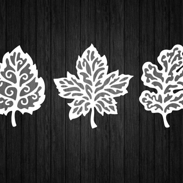 Beautiful Leaves Bundle SVG PNG for Cricut and Silhouette, Autumn Leaves SVG
