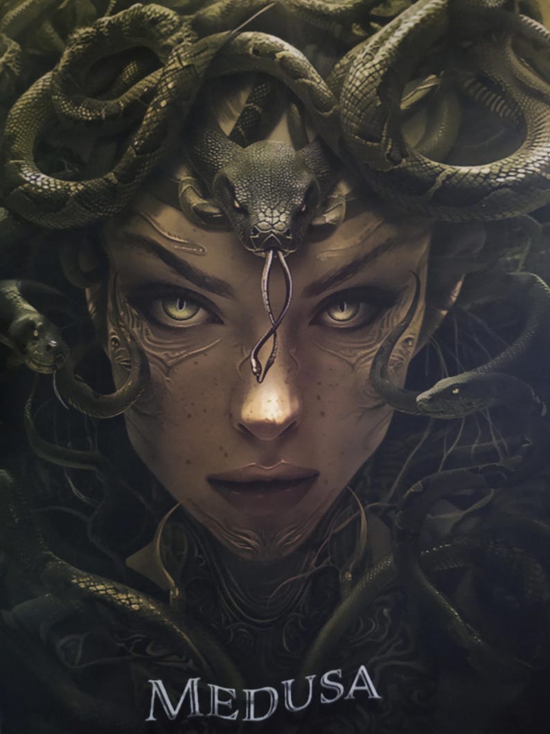 Medusa Flannel Shirt: Back Patch Graphic - Large Tall Mens Size - Etsy