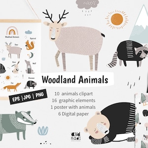 Woodland animals Clip Art Woodland Digital paper Deer Clipart Woodland Nursery Art Forest Animals clipart Commercial use