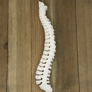Spine - Car Freshie