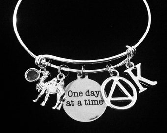 AA Recovery Gift for Women Camel Story One Day at a Time Bracelet à breloques personnalisé extensible réglable taille unique