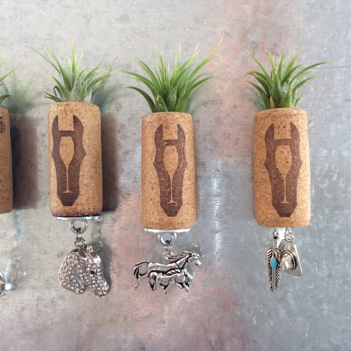 Cork Air Plant Real Live Air Plant Wine Cork Etsy
