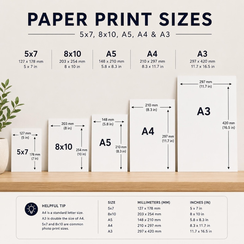 The image provides a visual guide to the sizes of various paper print sizes, including 5x7, 8x10, A5, A4, and A3. It lists the corresponding millimeters (mm) for each size, ranging from 5x7 to 5x10, and from A5 to A3. The image also includes a helpful tip that A5 is a standard letter size, and that 5x7 and 5x8 are common photo print sizes.