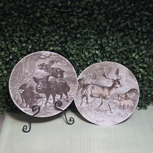 Vintage Bareuther Waldsassen Wildlife Plates Pair, 100 Jahre Centennial Anniversary Collection 1960s Germany, Wild Boar & Fallow Deer plates