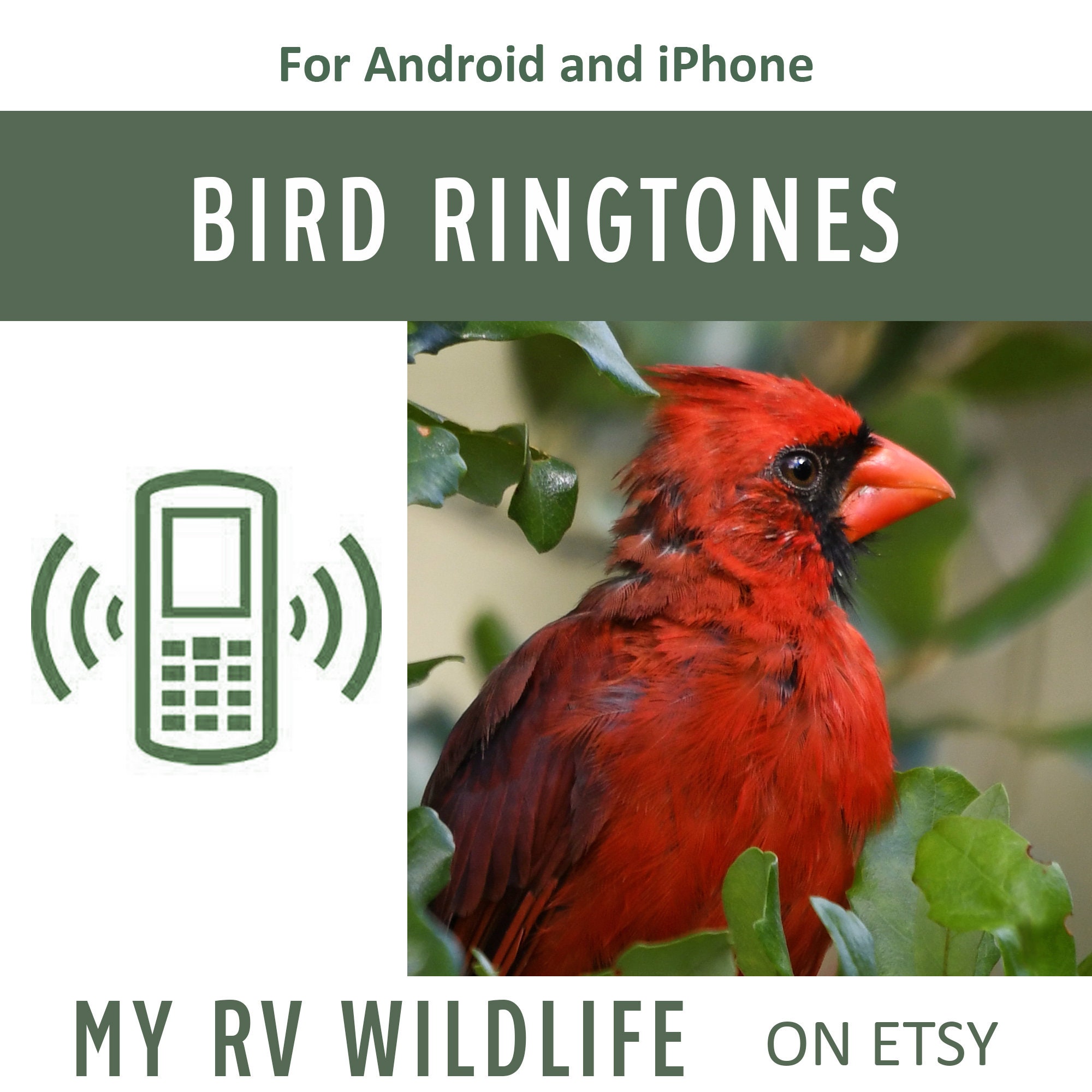 Cardinal Bird Ringtone Bird Lover Gifts Songbirds Bird Etsy