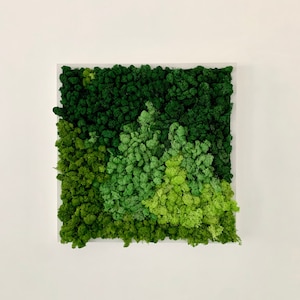 Scandinavian Moss Tile Preserved Moss Decor Home Office Decor Modern Natural Eco-Friendly Moss Tiles