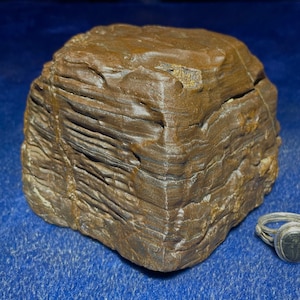 Wyoming Banded Iron Ventifact