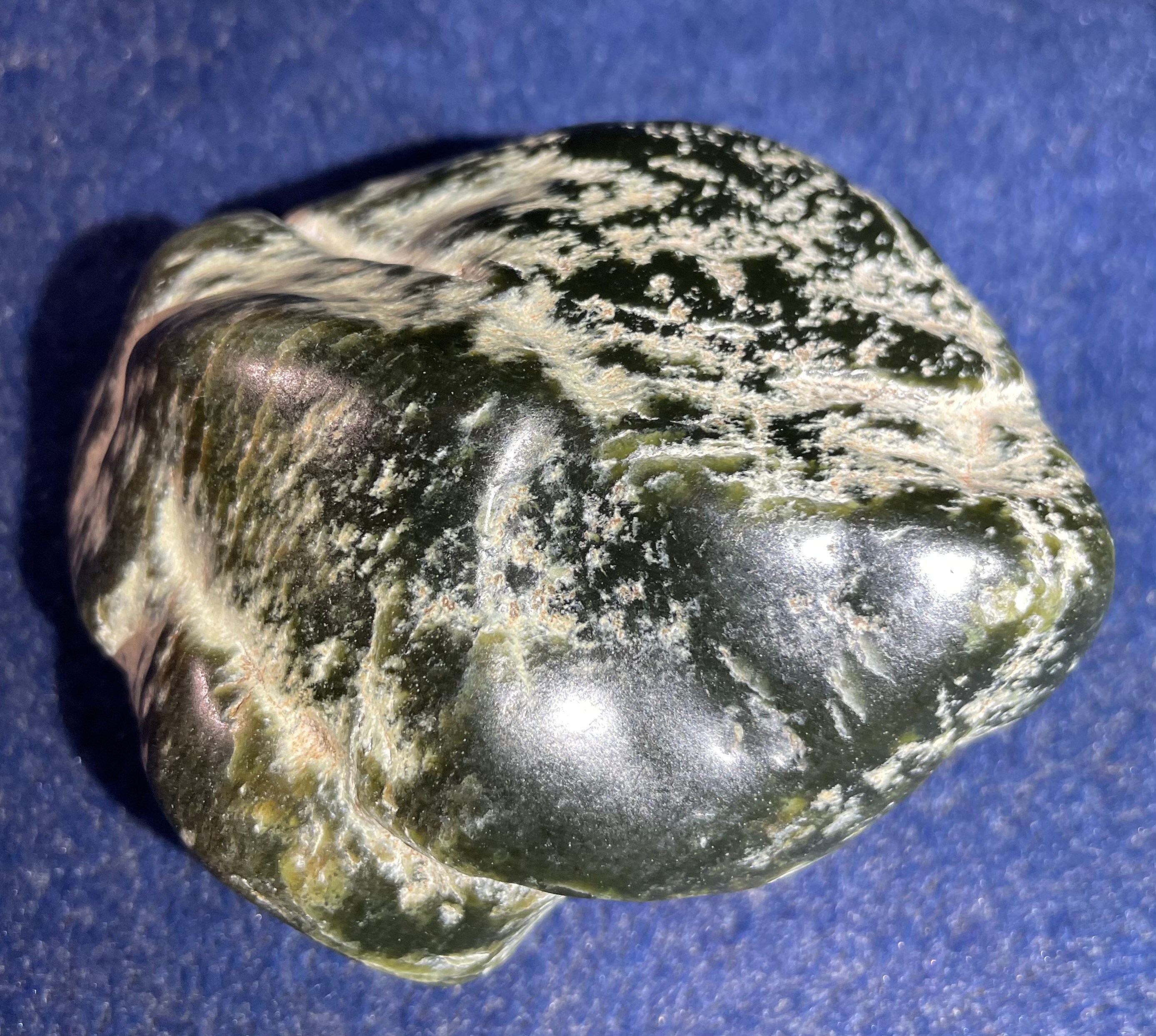 Wyoming Polished Dark Olive Palm Stone Etsy Australia