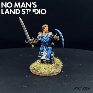 D&D Handpainted, Human Paladin, Painted Figure, Dungeons and Dragons, Pro Painted, DND, Fantasy Miniature