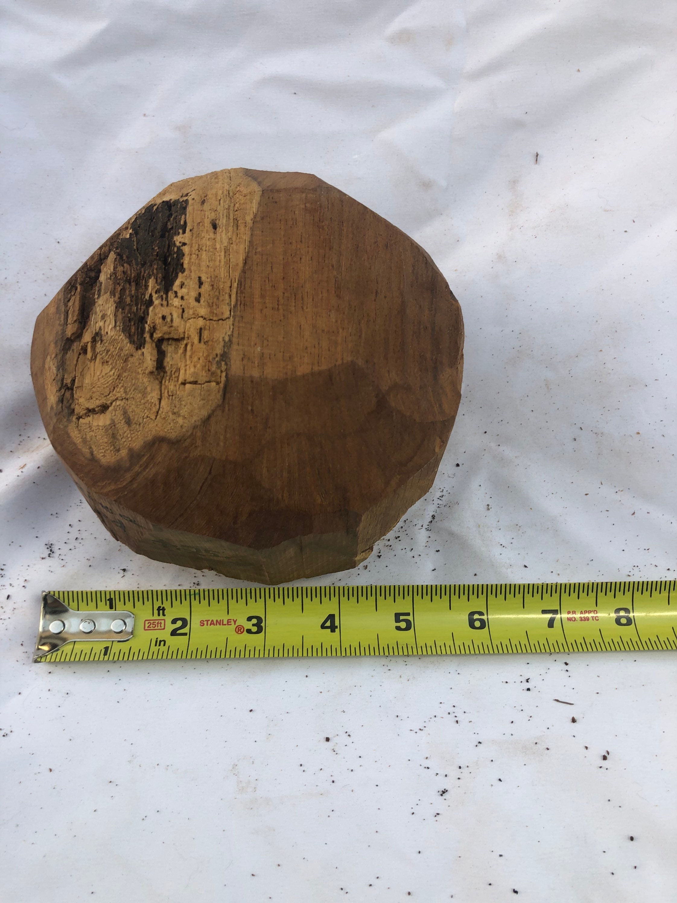 Jamaican Dogwood Wood Blank for Turning or Crafting Etsy