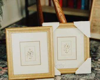 Pair of Vintage Pressed Flower Art | Framed Botanical Wall Decor | Imported from Madagascar | Gold Frame Floral Prints