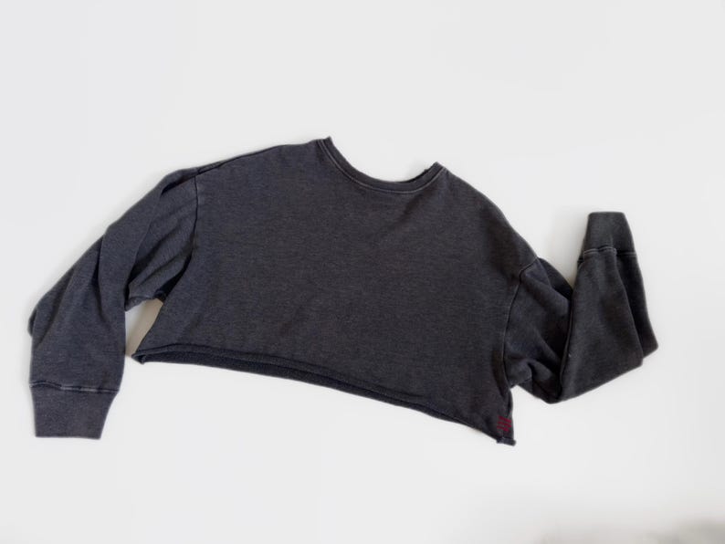 May include: A dark gray cropped sweatshirt with long sleeves. The sweatshirt has a crew neck and ribbed cuffs. The bottom hem is raw and unfinished. The fabric appears to be a soft, washed material.