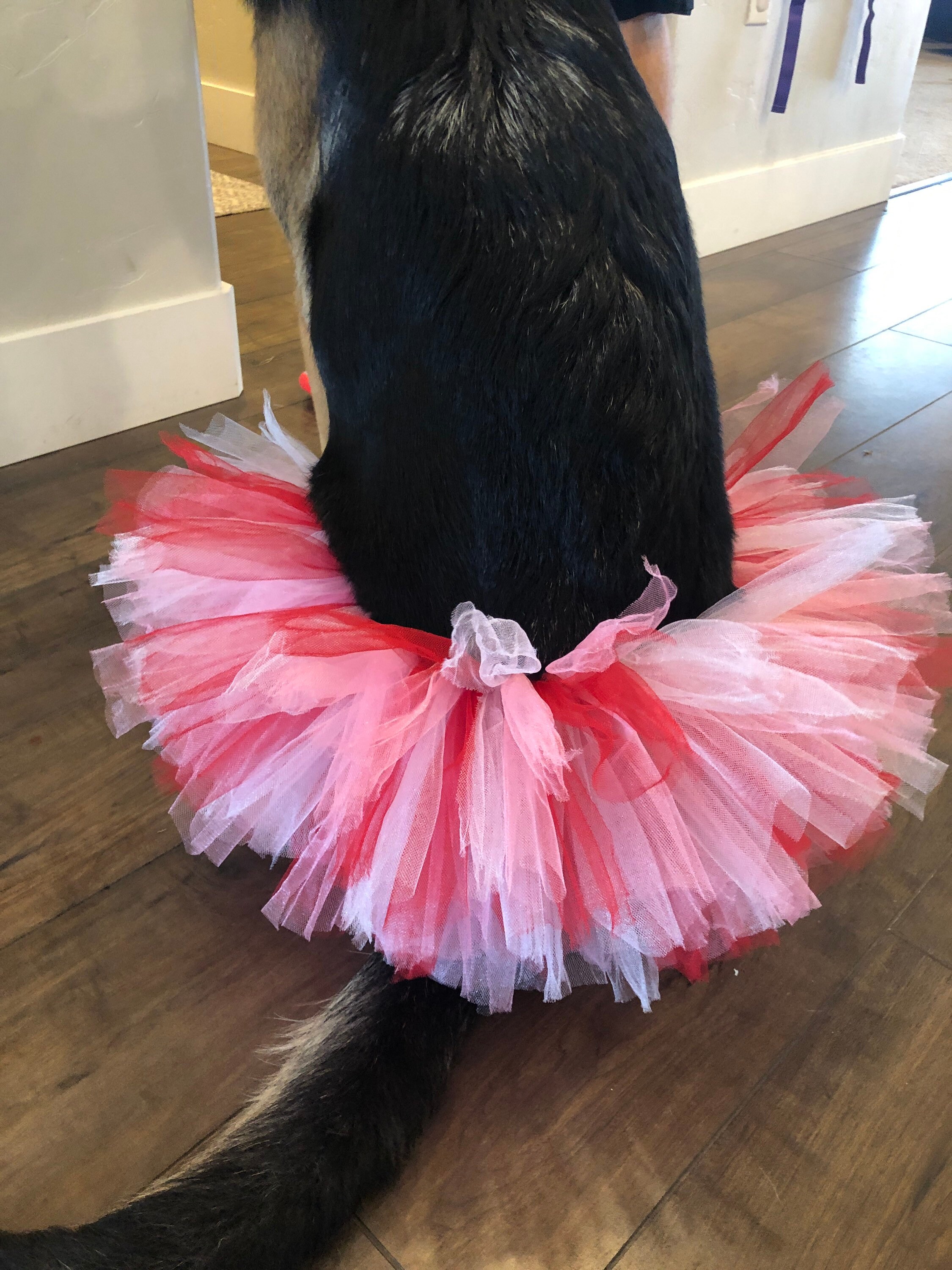 Dog tutu puppy tutu dog skirt dog dress up dog costume Etsy