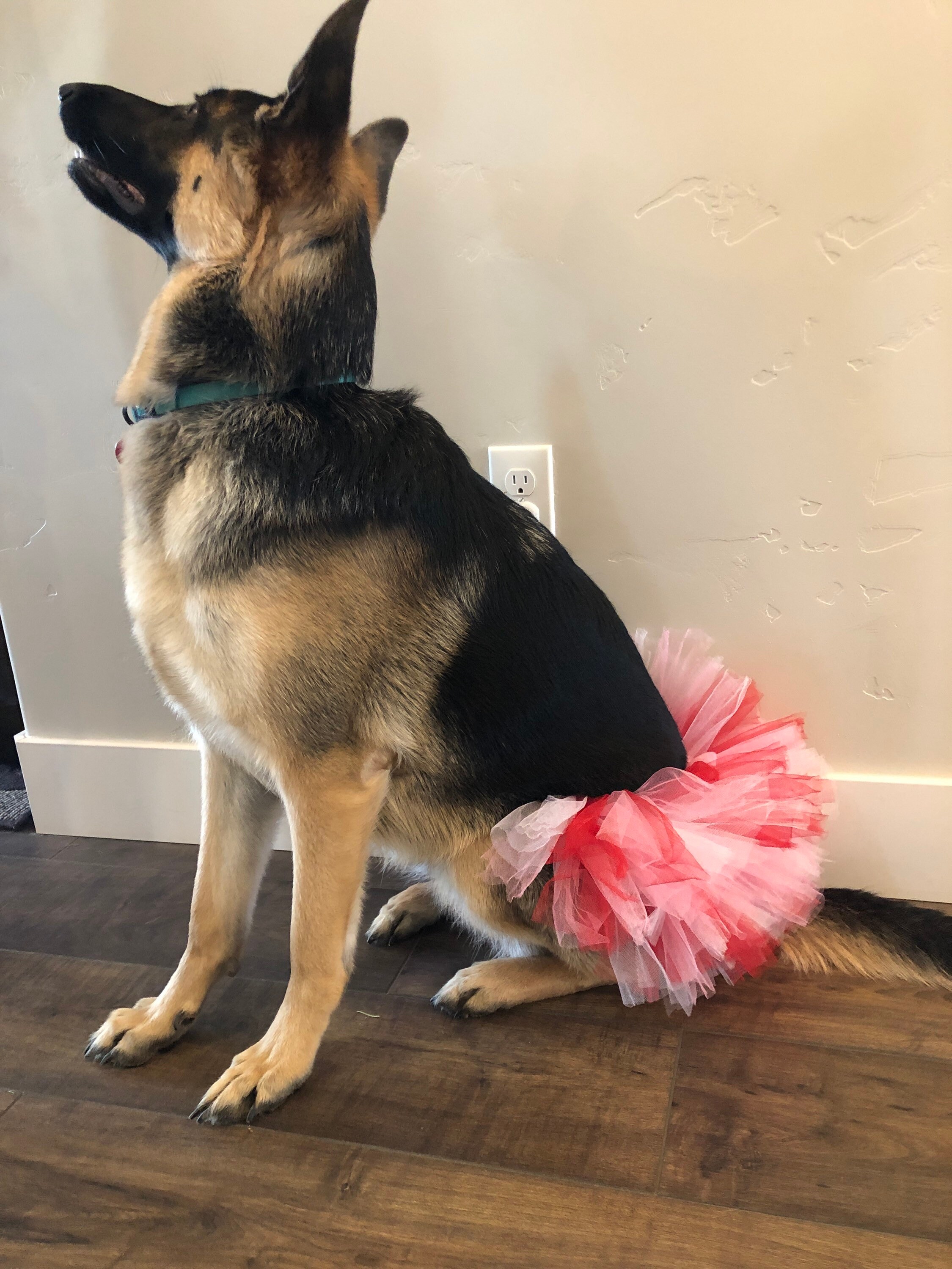 Dog tutu puppy tutu dog skirt dog dress up dog costume Etsy