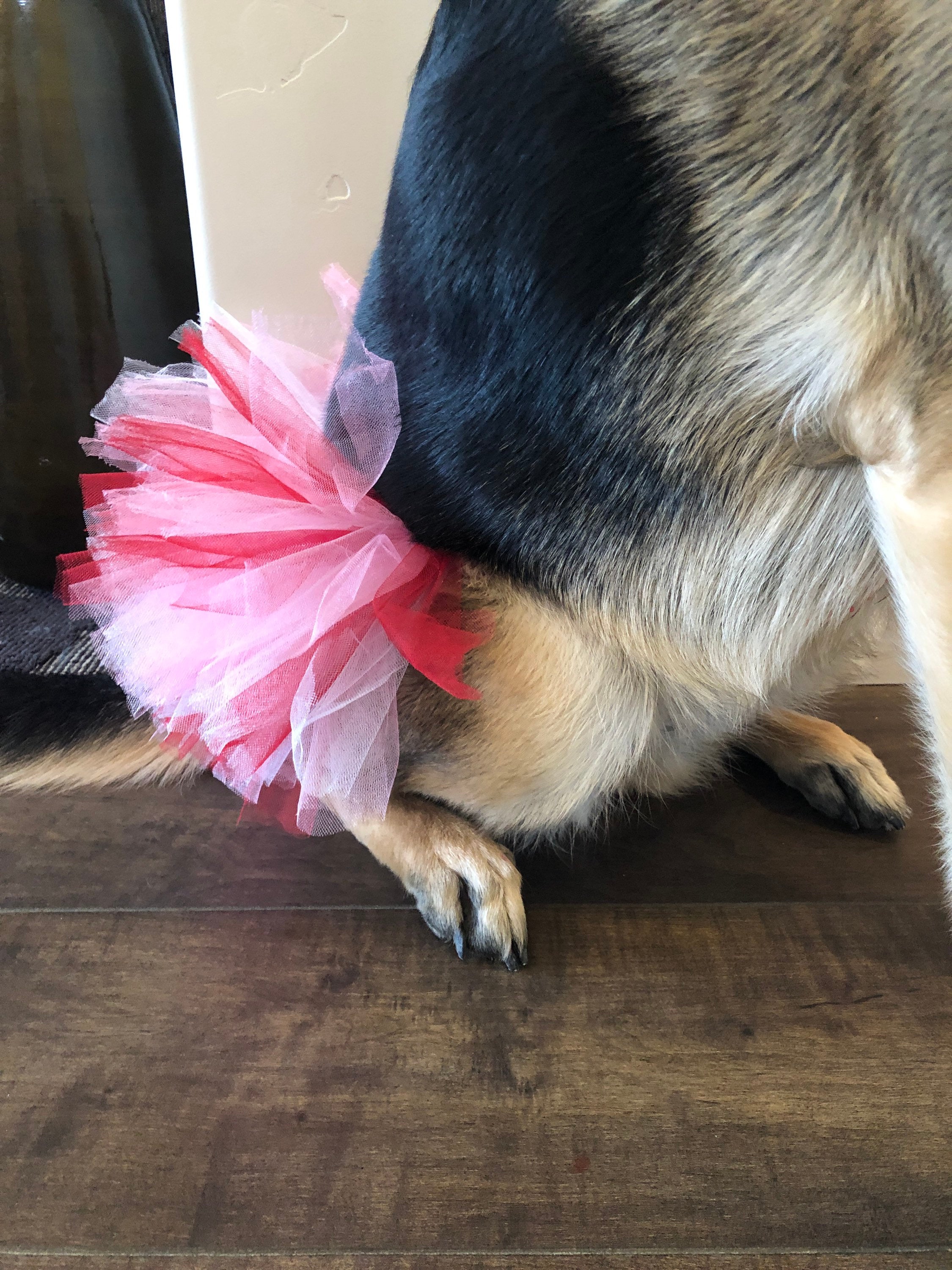 Dog tutu puppy tutu dog skirt dog dress up dog costume Etsy