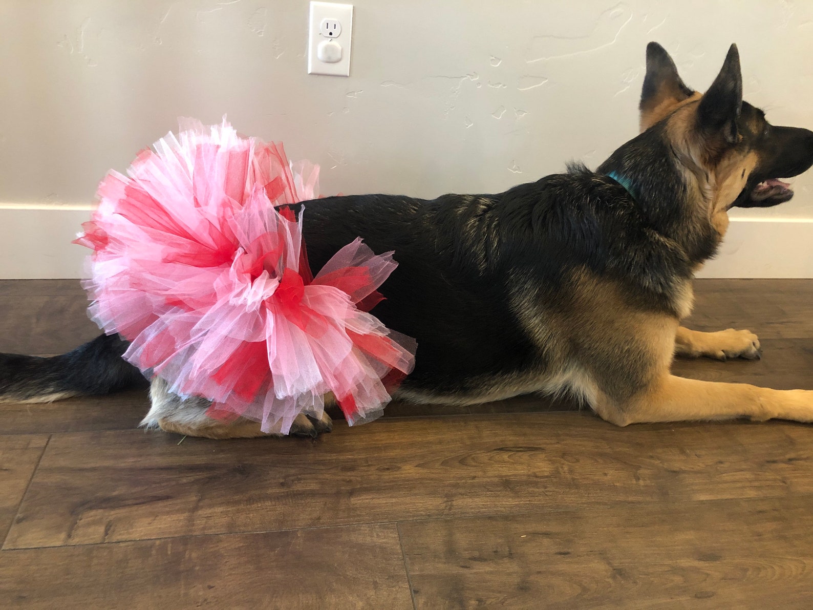 Dog tutu puppy tutu dog skirt dog dress up dog costume Etsy