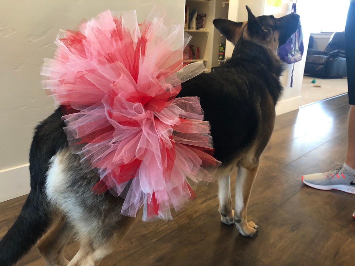 Dog tutu puppy tutu dog skirt dog dress up dog costume Etsy