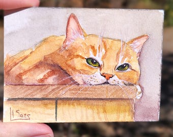 Watercolor miniature ACEO Card Original Painting Ginger Cat Collection  2.5" by 3.5"