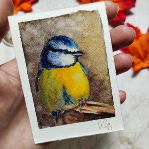 ACEO Karte Original Aquarell ACEO Malerei Blaumeise Vogel Sammlung Miniatur Malerei Vogel Kunst Dekor 6,5 x 9,5 cm by ArtStudiaLisa