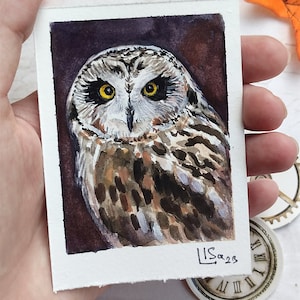 Gufo Pittura in miniatura Carta ACEO Acquerello Originale Animale Decorazione da parete Uccello realistico 3,5 x 2,5 di Artstudialisa
