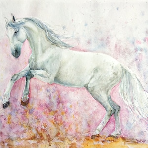White horse rearing gallop, watercolor painting. Original painting animal. Realistic picture wish horse. Pink colorful. Animal wall decor