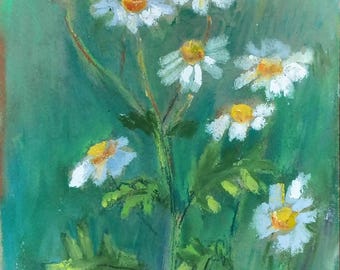 Original Oil Pastel Painting Daisy: Flowers Art Miniature (5.5"x7")
